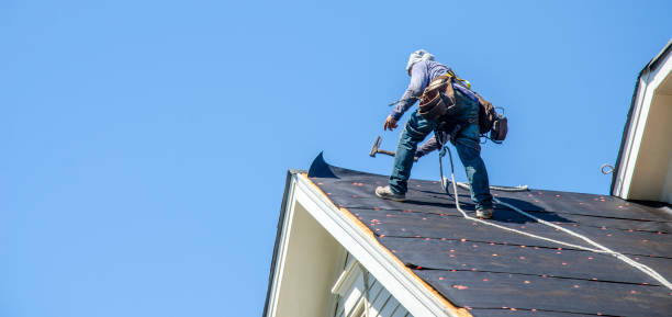 Best Roof Gutter Cleaning  in Upper Ack, NY